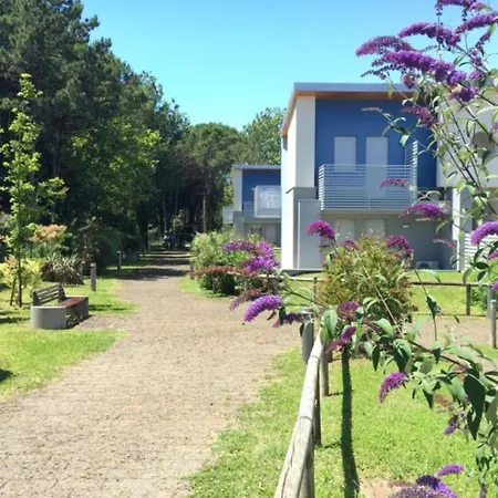 Apartment Near The And The In