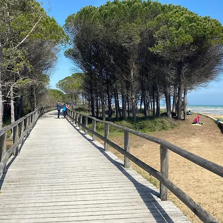 Near The And The In Bibione